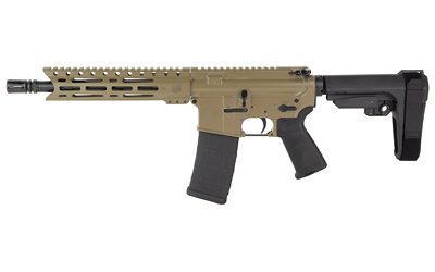 DBF DB15 556 10" MLOK 30RD FDE BRACE