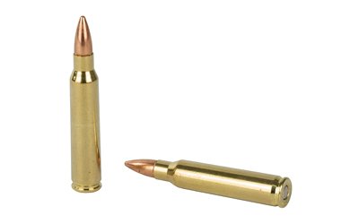 F223C_4.jpg