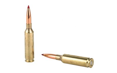 H81391_4.jpg