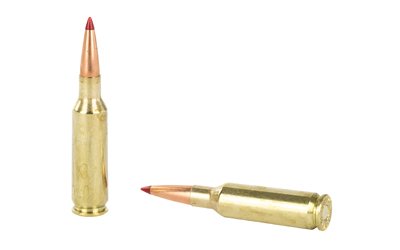 H81534_4.jpg