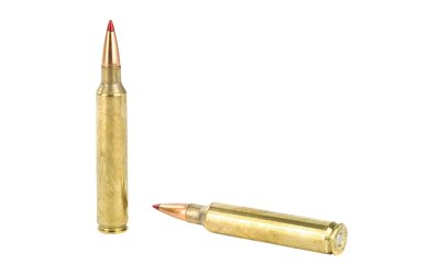 H8209_4.jpg