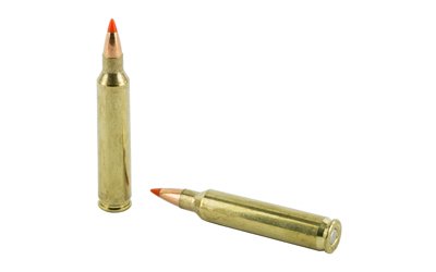 H83204_4.jpg