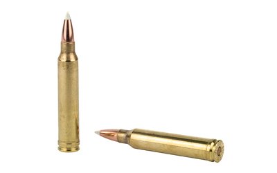 NOS60059_4.jpg