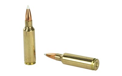 NOS60063_4.jpg