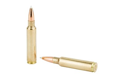 NOS60098_4.jpg