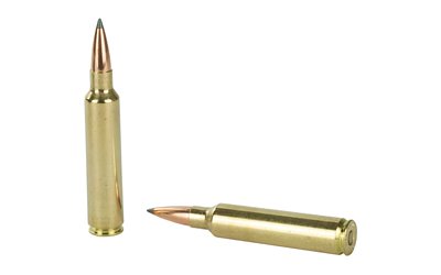 NOS60118_4.jpg