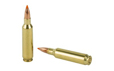 NOS61030_4.jpg
