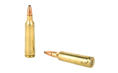 REM21311_4.jpg