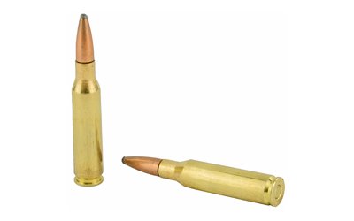 REM21337_4.jpg