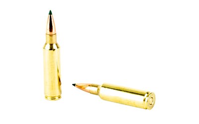 REM29043_4.jpg
