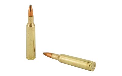 REM29051_4.jpg