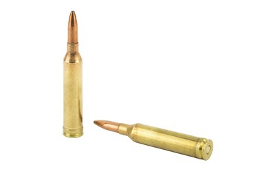 REM29493_4.jpg