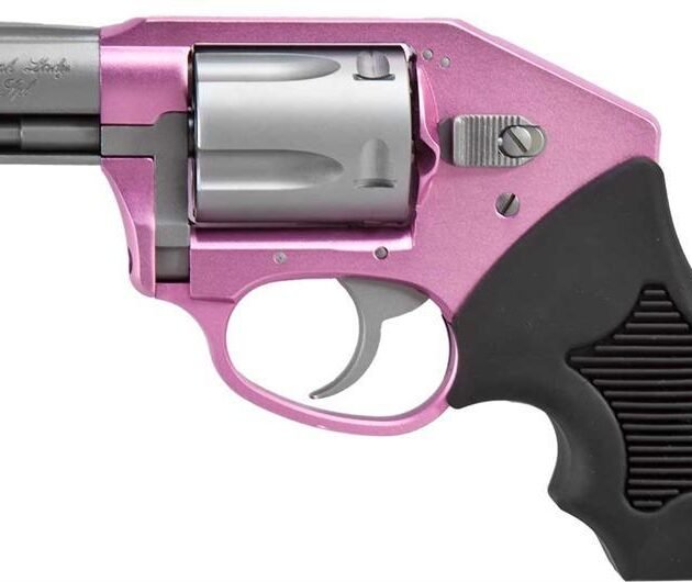 CHIC LADY 38SPL PINK/HP 2' DAO