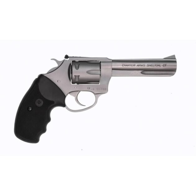 Charter Arms Target Pathfinder .22 LR 6rd Capacity 4.2" Barrel Stainless