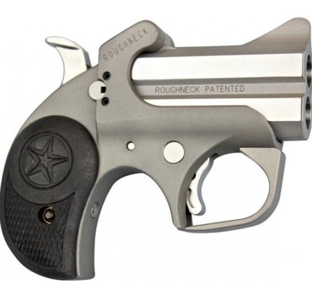 Bond Arms Roughneck Derringer 9mm Luger 2rd Capacity 2.5" Barrel