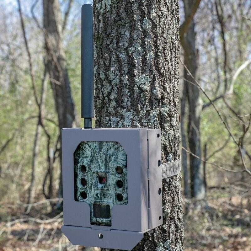 https3A2F2Fmedia.chattanoogashooting.com2Fimages2Fproduct2FBH119951C2FBH119951C-1.jpg