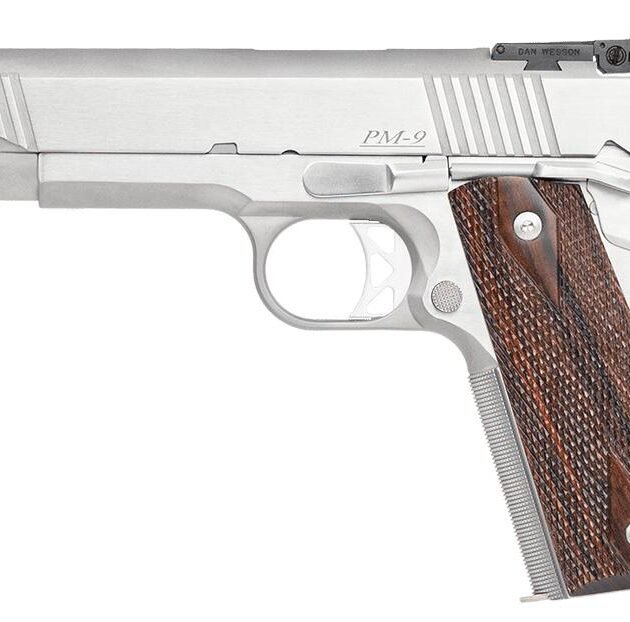 Dan Wesson Pointman Nine PM-9 Handgun 9mm Luger 9rd Magazine 5" Barrel Stainless