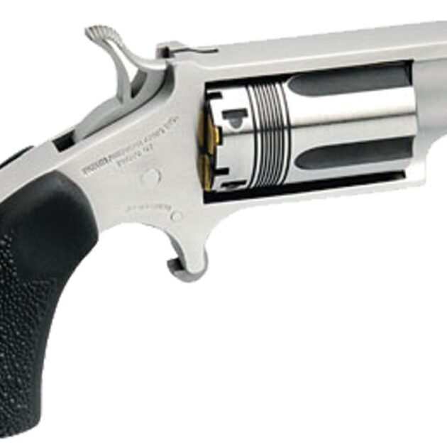 NAA WASP SNUB 22MAG 1-1/8" BRL
