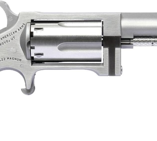 NAA SIDEWINDER 2.5" BRL 22M/22LR MINI REV