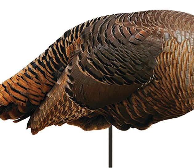Montana Decoy Co Spring Fling Hen Decoy