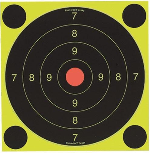 Birchwood Casey Shoot-N-C International Target