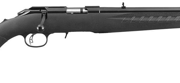 RUGER AMERICAN 22LR RIMFIRE 18" BRL Satin BLUE THREADED COMPACT
