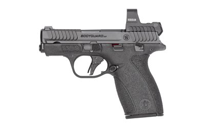 S&W BDYGRD 2.0 RFX1 380ACP 12RD TS
