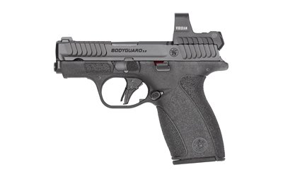 S&W BDYGRD 2.0 RFX1 380ACP 12RD NTS